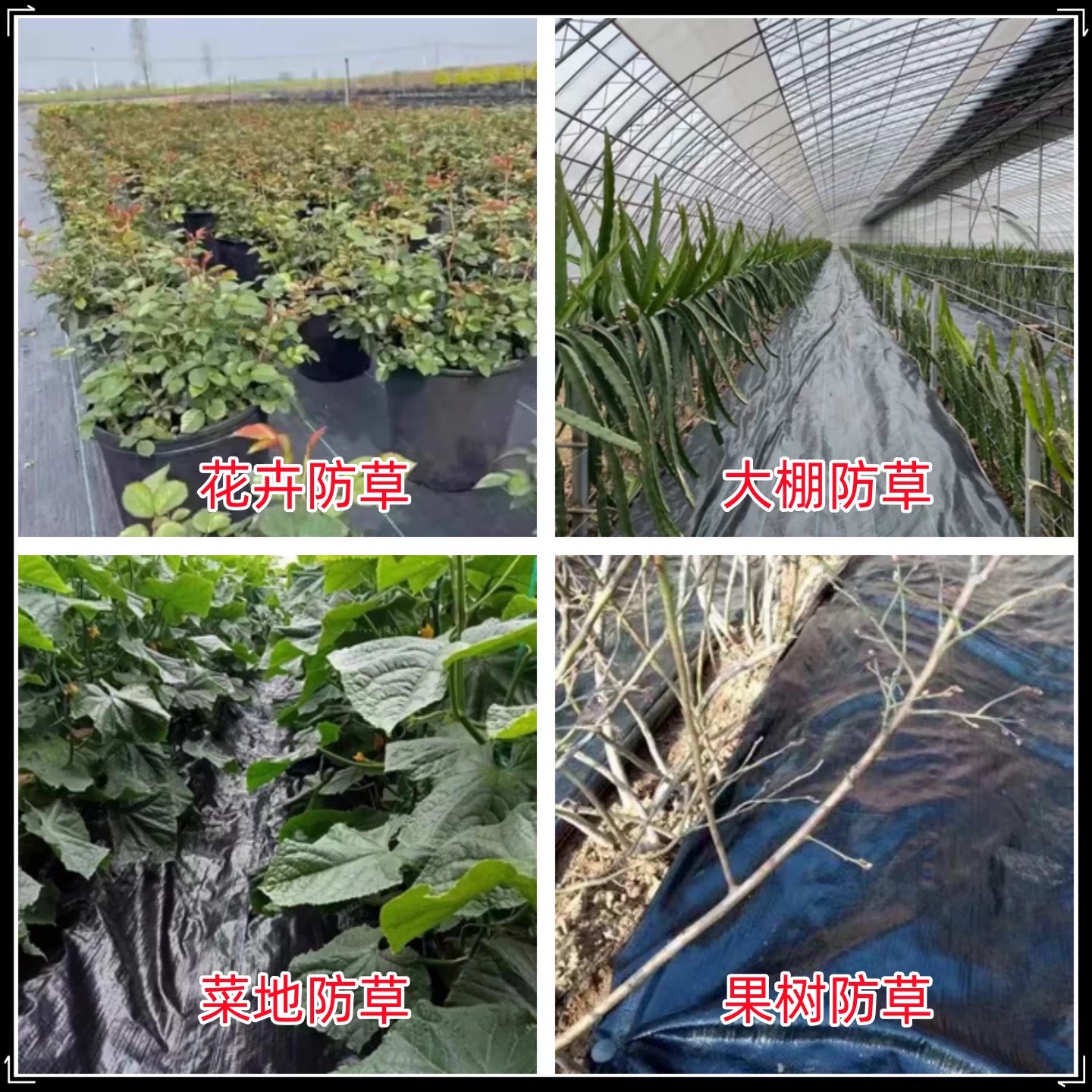 安庆市地膜防草布 - 哪里好