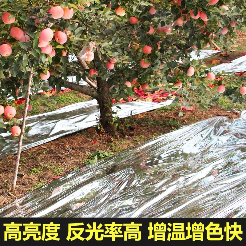 安庆市塑料薄膜果树反光膜 - 哪里好